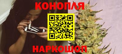 прущие крисы Можга