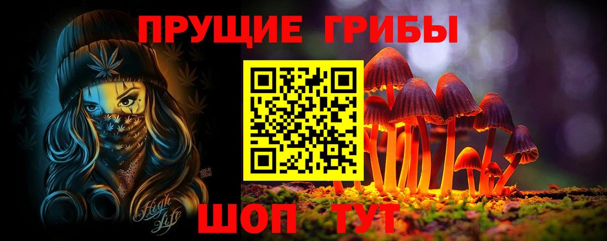 Владимир  Псилоцибиновые грибы Psilocybine cubensis  Вход с VPN 